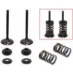 PSYCHIC výfukové ventily (komplet 2 kusy. ventilů s pružinami a podložkami) SUZUKI RMZ 450 08-15, RMX 450 10-14 ocel (MX-09527E) (31X5,46X80,9mm) – Zboží Mobilmania