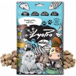 Lyopro Hovězí játra 50 g – Zboží Mobilmania