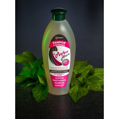 Nutricius Perfect Hair kofeinový šampon 550 ml – Hledejceny.cz