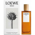 Loewe Solo toaletní voda pánská 100 ml – Hledejceny.cz