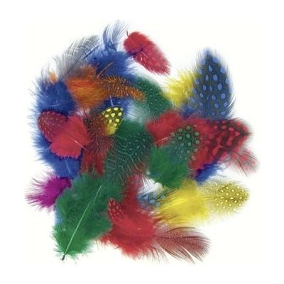 Knorr Peříčka barevný mix 1g kropenatá – Sleviste.cz