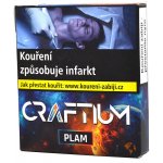 Craftium Plam 40 g – Hledejceny.cz