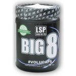 LSP Nutrition BIG 8 essential amino 300 tablet – Hledejceny.cz