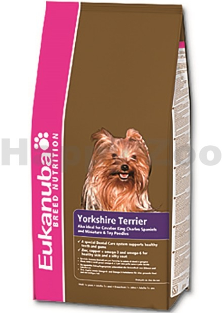 eukanuba yorkshire