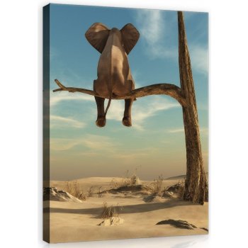 Postershop Obraz na plátně: Slon na stromě - 100x75 cm