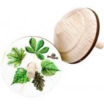 Lesní svět Dřevěná káča Listy – Hledejceny.cz