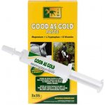 TRM Good As Gold pasta 70 g – Hledejceny.cz