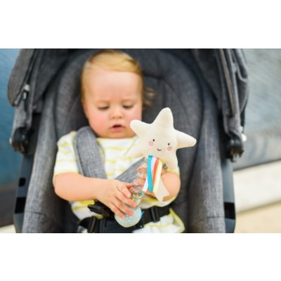 Taf Toys Chrastítko dešťová hůlka Hvězdička – Zboží Mobilmania