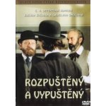 rozpuštěný a vypuštěný DVD – Hledejceny.cz