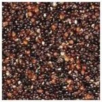 Provita Quinoa černá 250 g – Hledejceny.cz