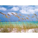 Komar 8-515 FOTOTAPETA Ocean Breeze rozměry 368 x 254 cm – Hledejceny.cz