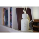 Mr&Mrs Fragrance Blanc difuzér Pure Amazon Aria Pura 250 ml – Sleviste.cz