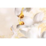 Christian Dior J'adore parfémovaná voda dámská 150 ml – Hledejceny.cz