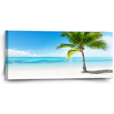 Sablio Obraz Palma na pláži - 110x50 cm – Zboží Mobilmania