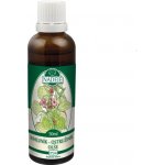 Naděje Ostružiník tinktura z pupenů 50 ml – Hledejceny.cz