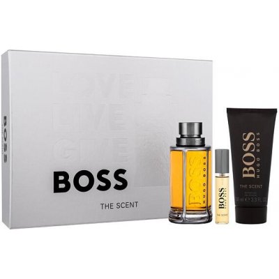 Hugo Boss Boss The Scent 2015 toaletní voda pánská 100 ml – Hledejceny.cz