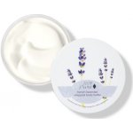 100% Pure tělové máslo Francouzská levandule 96 g – Hledejceny.cz