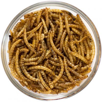 Sens Sušení mouční červi neochucení 20 g – Zboží Dáma