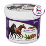 Wellife Koňský balzám hřejivý s konopím a skořicí 500 ml – Zboží Dáma