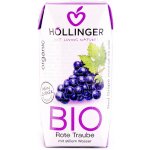 Hollinger Šťáva ovocná červený hrozen Bio 200 ml – Hledejceny.cz