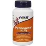 Now Foods Pycnogenol 60 mg 50 kapslí – Hledejceny.cz