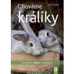 Chováme králíky – Hledejceny.cz
