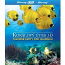 Korálový útes – Tajemné světy pod hladinou 2D+3D BD