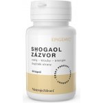 Epigemic Shogaol Zázvor 30 kapslí – Hledejceny.cz