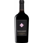 Zolla Primitivo di Manduria DOC 2021 14,5% 0,75 l (holá láhev) – Zboží Dáma