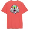 Pánské Tričko Santa Cruz triko McCoy Dog T-Shirt Astro Dust