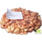 Cibule sazečka - Všetana 250g – Zboží Mobilmania