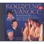 Různí - Kouzelné Vánoce CD – Hledejceny.cz