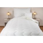 JAN peří Francouzská přikrývka dvoudeka z dutého vlákna celoroční bílá 100% PES Dvoudeka – Zboží Dáma