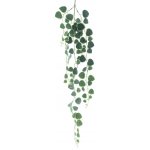 Fíkus - Ficus závěsný zelený délka 102 cm (N326441) – Sleviste.cz