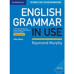 English Grammar in Use Book without Answers 5E