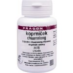Sinecura Koprníček chuanxiong prášek 20 g – Hledejceny.cz