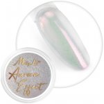 Allepaznokcie Aurora pigment 05 – Zboží Mobilmania