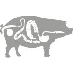 Nature line Konečnice vepřová sol. 50cm – Hledejceny.cz