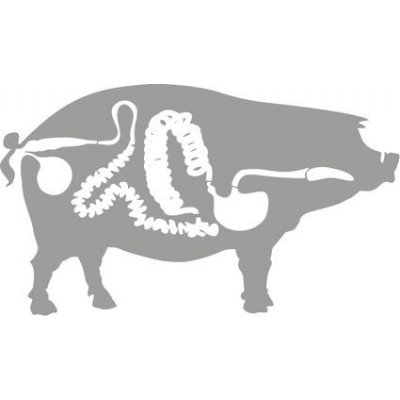 Nature line Konečnice vepřová sol. 50cm – Hledejceny.cz