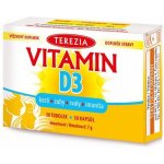 Terezia Vitamin D3 1000 IU 30 tobolek – Zbozi.Blesk.cz