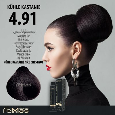 Femmas Barva na vlasy Hnědý ledový kaštan 4.91