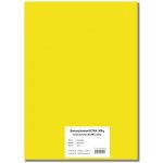 STEPA Barevný karton EXTRA 300g 50x70cm - žlutý 10listů