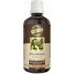 Green idea Bříza bělokorá 50 ml – Hledejceny.cz