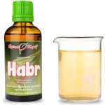 Habr tinktura z pupenů (gemmoterapie) 50 ml doplněk stravy – Hledejceny.cz