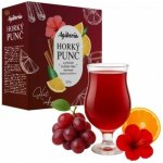 AGIBERIA Horký punč svařené víno 25x20g – Zboží Mobilmania