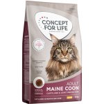 Concept for Life Maine Coon suché krmivo pro dospělé kočky 10 kg – Hledejceny.cz