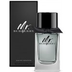 Burberry Mr. Burberry toaletní voda pánská 100 ml – Hledejceny.cz