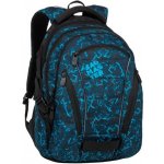 Bagmaster Bag 20 B žíhaně modrá – Zboží Mobilmania