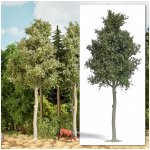 buk lesní 170 mm H0 Busch 3798 – Zboží Dáma