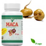 Oro Verde Maca 350 mg 100 kapslí – Hledejceny.cz
